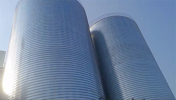 向阳2座混凝土高架卷板仓